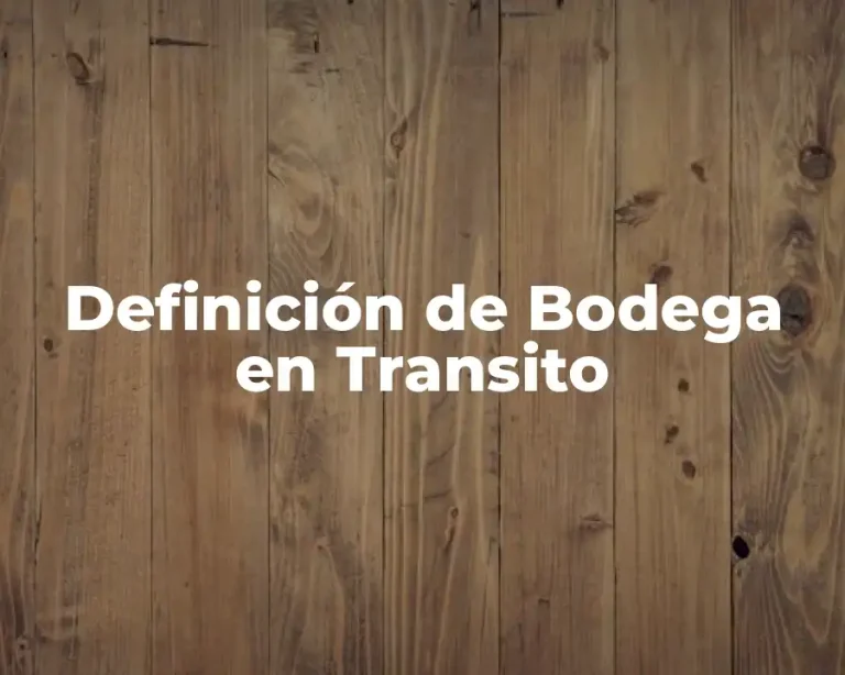 Definición de Bodega en Transito