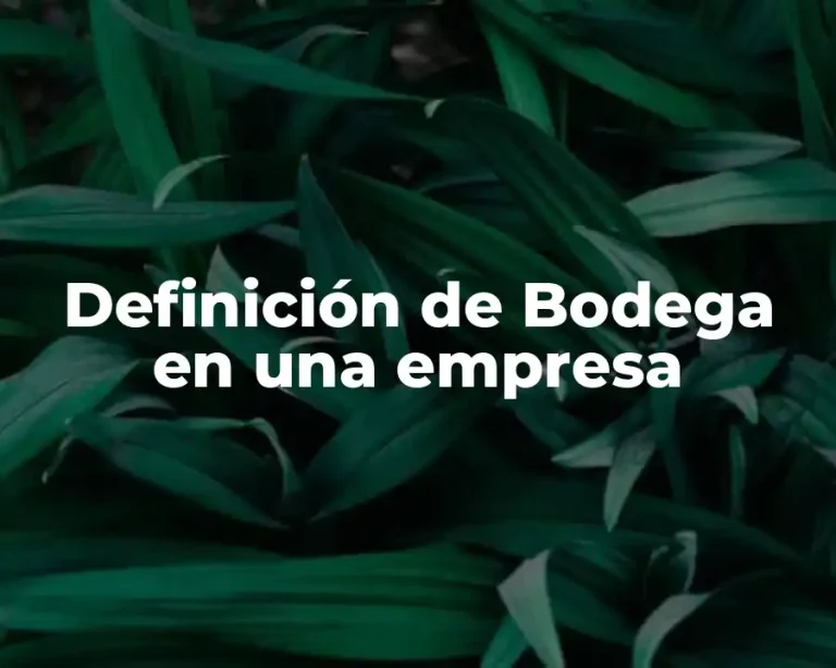 Definición de Bodega en una empresa