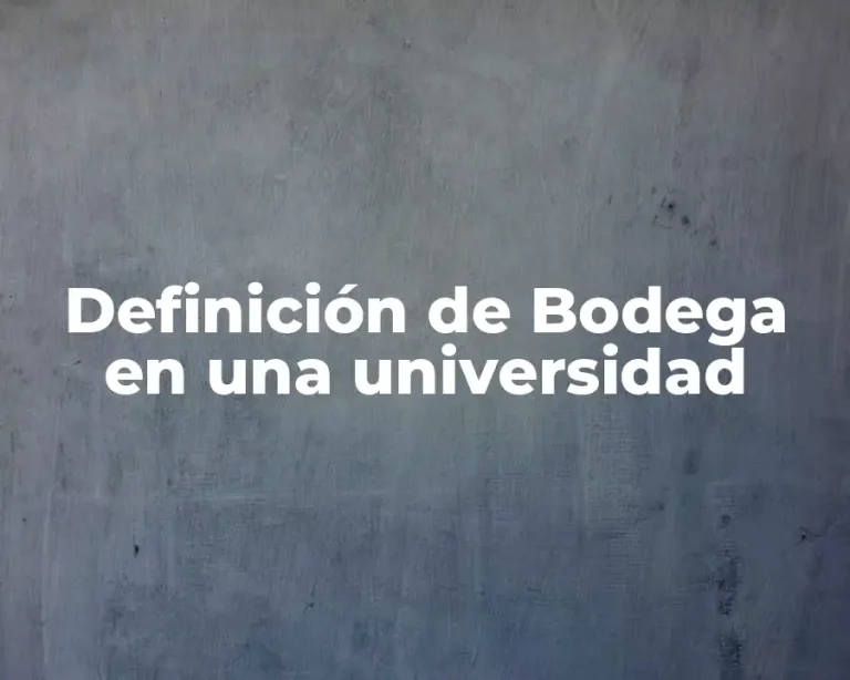 Definición de Bodega en una universidad
