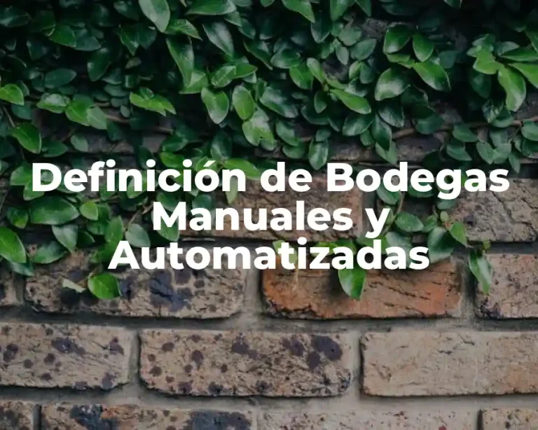 Definición de Bodegas Manuales y Automatizadas