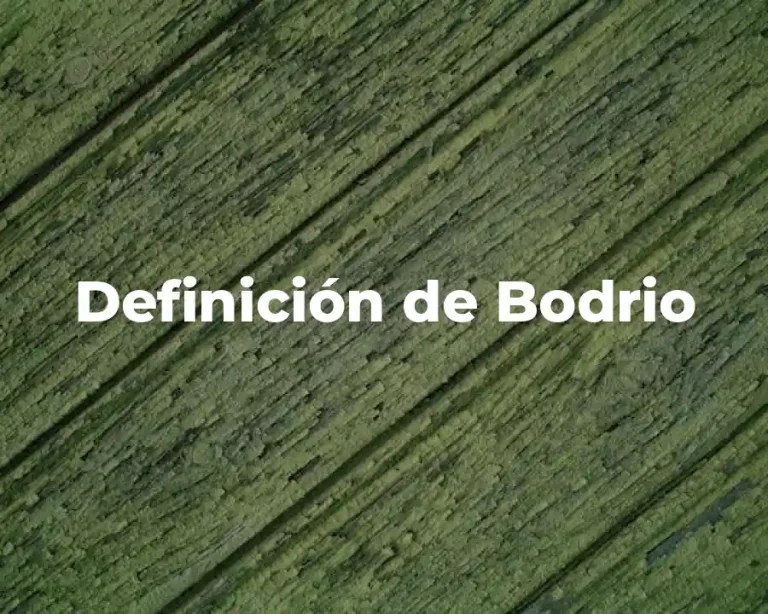 Definición de Bodrio