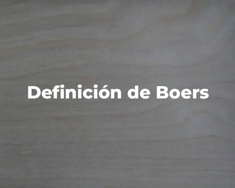 Definición de Boers