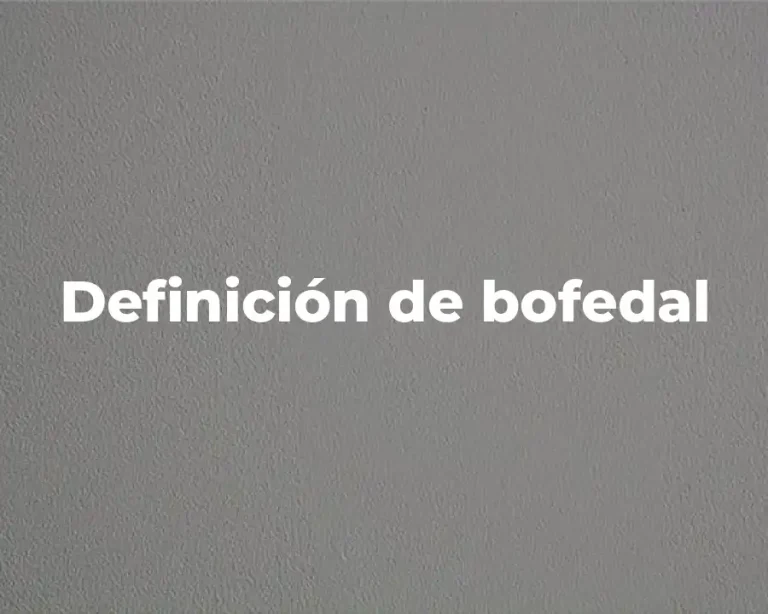 Definición de bofedal