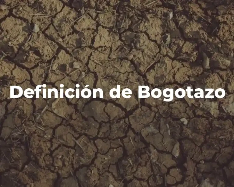 Definición de Bogotazo