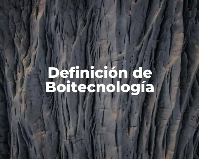 Definición de Boitecnología