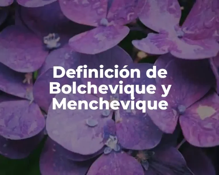 Definición de Bolchevique y Menchevique