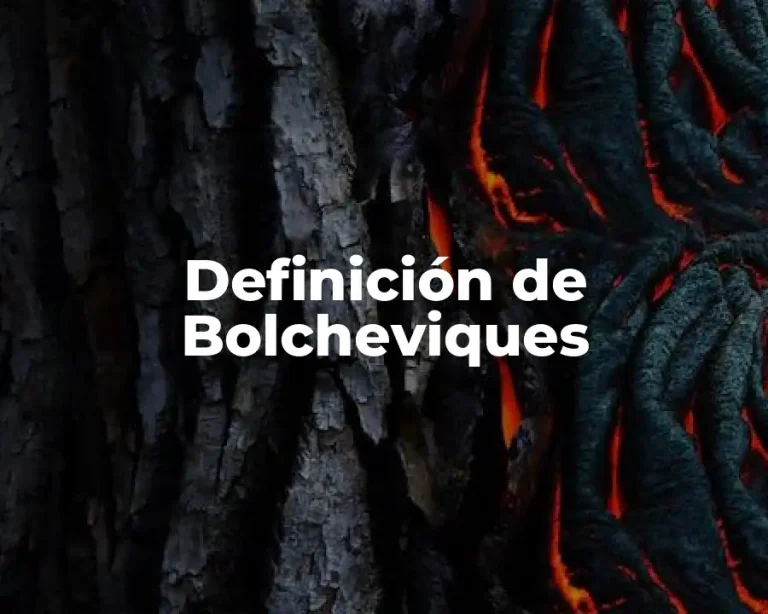 Definición de Bolcheviques