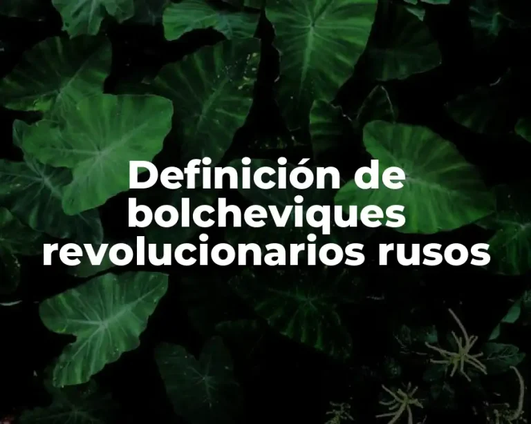 Definición de bolcheviques revolucionarios rusos