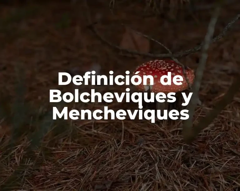 Definición de Bolcheviques y Mencheviques