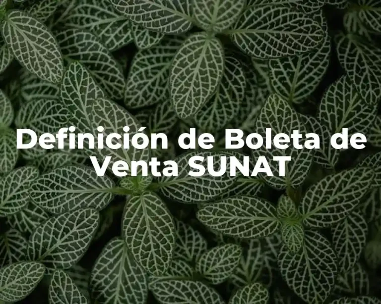 Definición de Boleta de Venta SUNAT