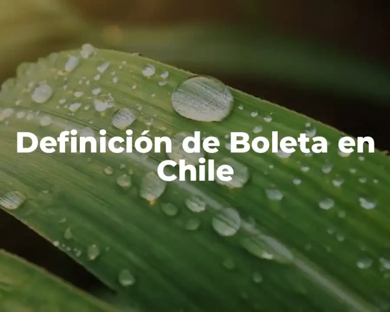 Definición de Boleta en Chile