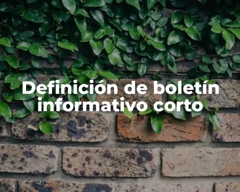 Definición de boletín informativo corto