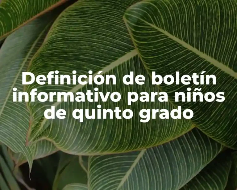 Definición de boletín informativo para niños de quinto grado