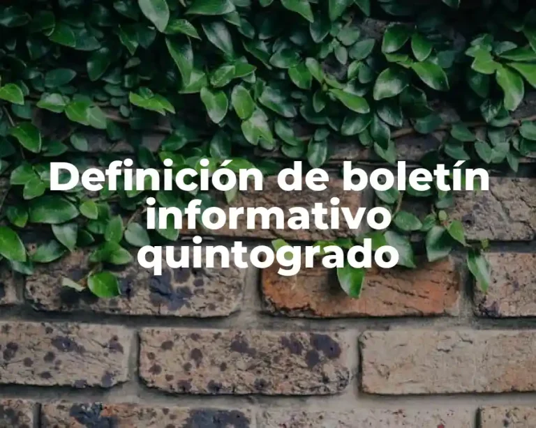 Definición de boletín informativo quintogrado