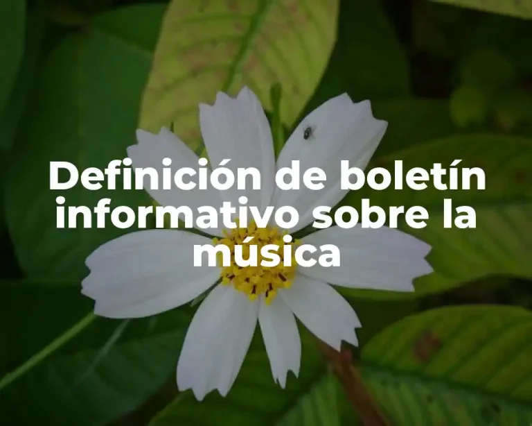 Definición de boletín informativo sobre la música