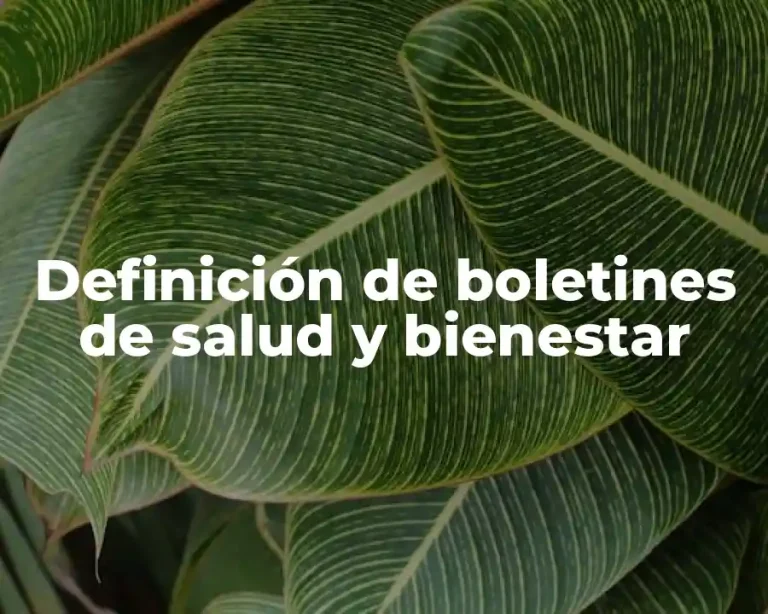 Definición de boletines de salud y bienestar