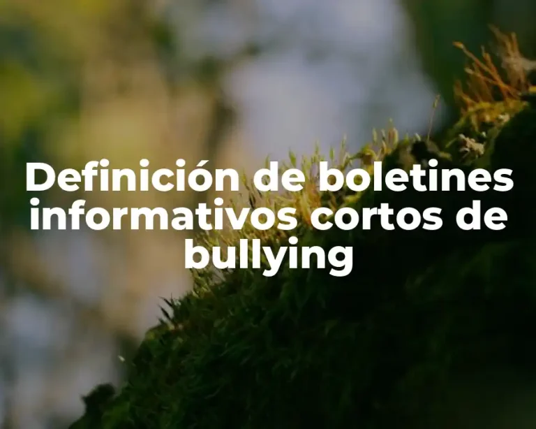 Definición de boletines informativos cortos de bullying