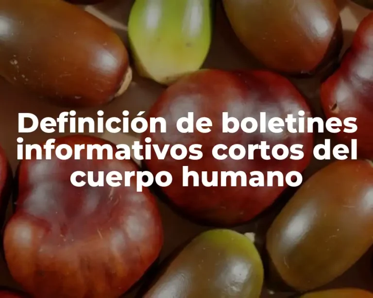 Definición de boletines informativos cortos del cuerpo humano
