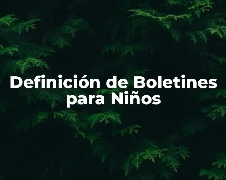 Definición de Boletines para Niños