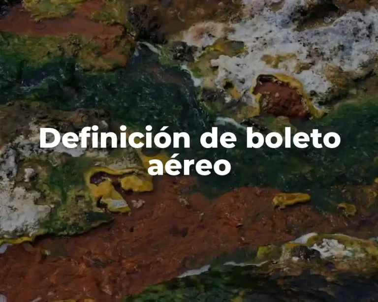 Definición de boleto aéreo
