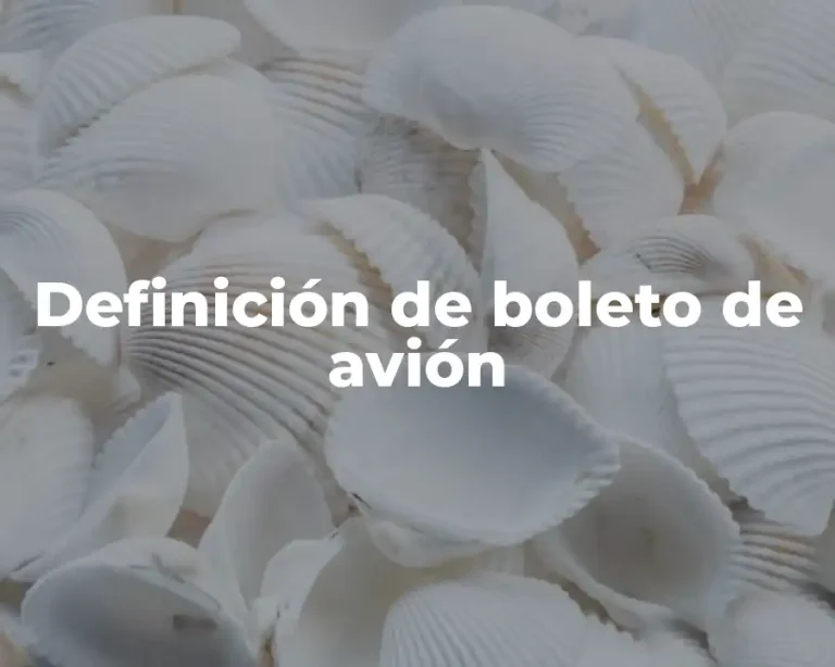 Definición de boleto de avión