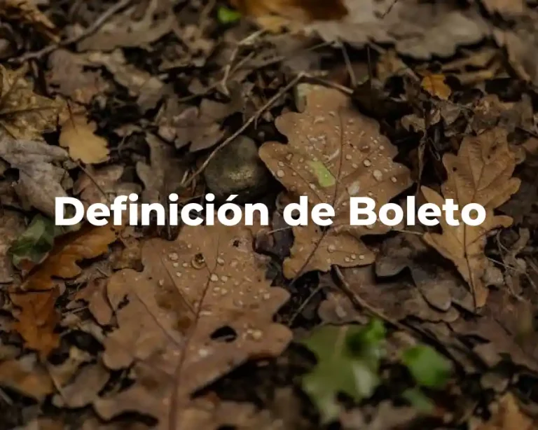 Definición de Boleto