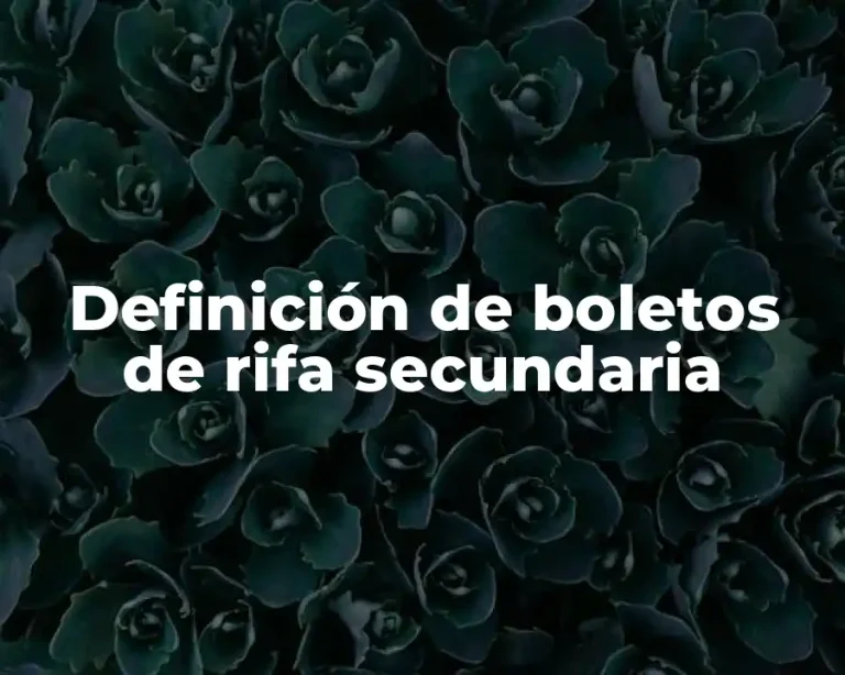 Definición de boletos de rifa secundaria