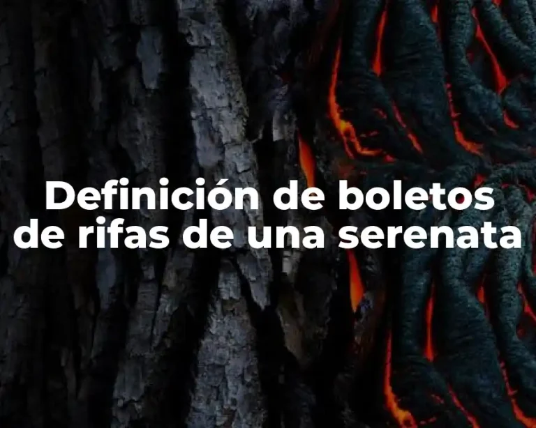 Definición de boletos de rifas de una serenata