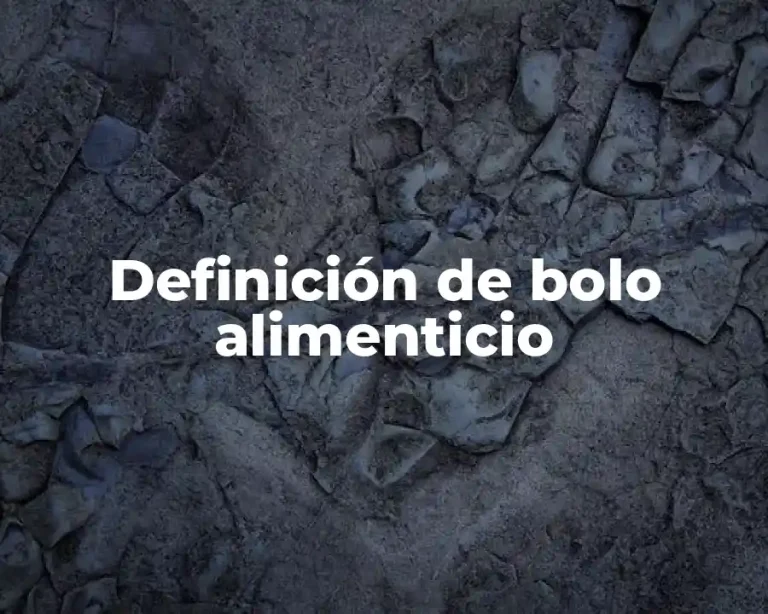 Definición de bolo alimenticio