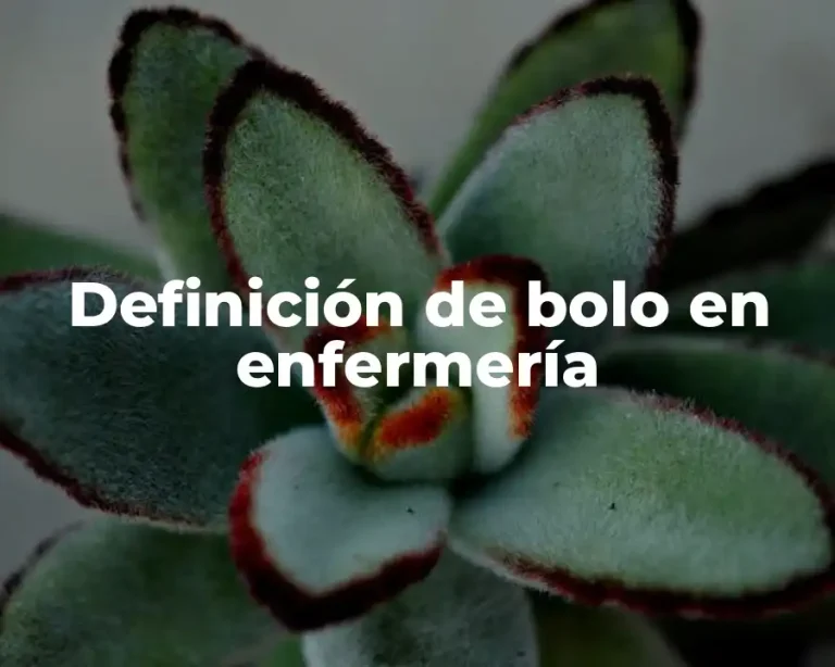 Definición de bolo en enfermería