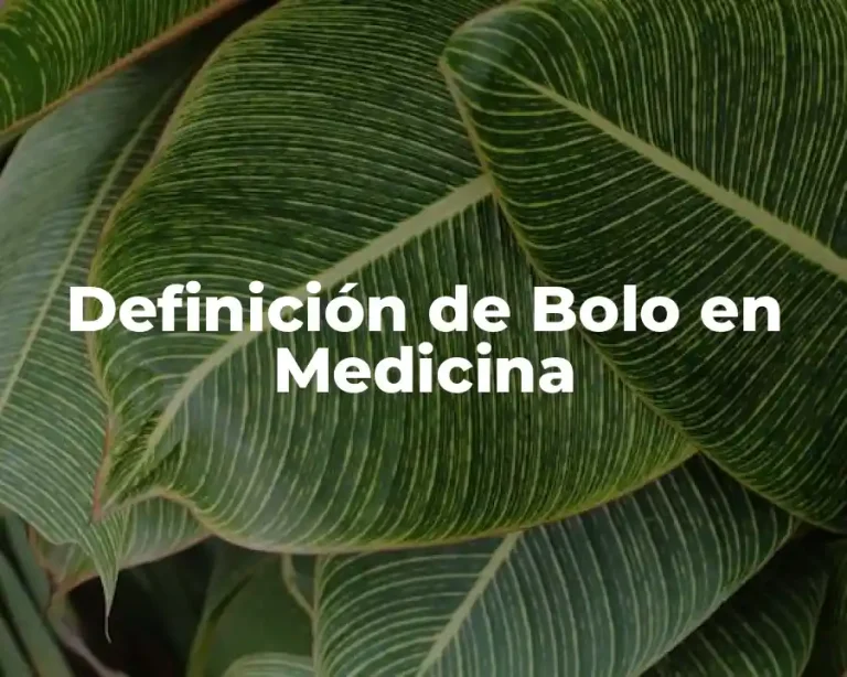 Definición de Bolo en Medicina