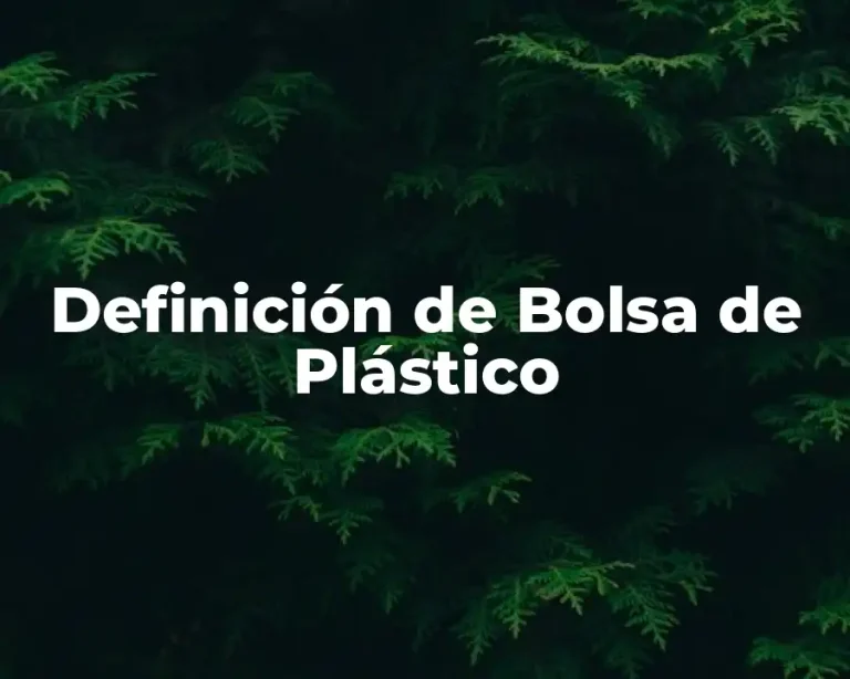 Definición de Bolsa de Plástico