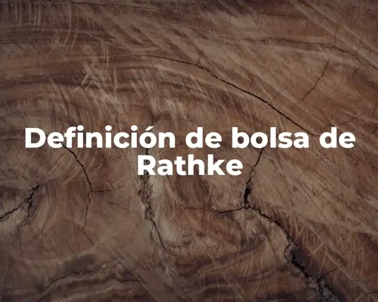 Definición de bolsa de Rathke