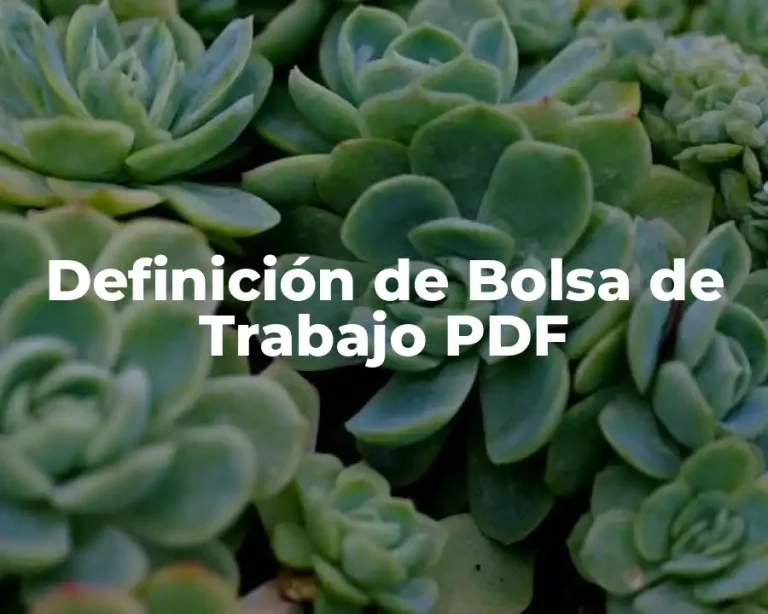 Definición de Bolsa de Trabajo PDF