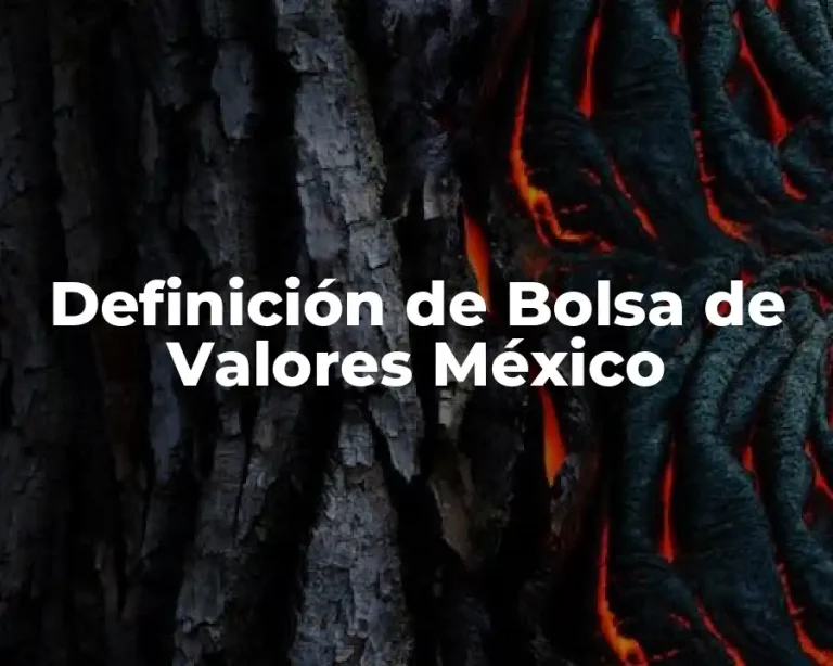 Definición de Bolsa de Valores México