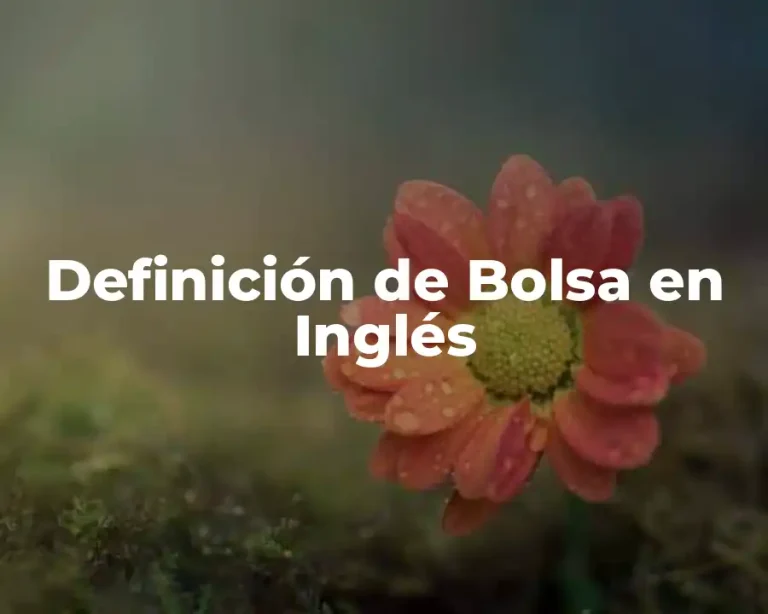 Definición de Bolsa en Inglés