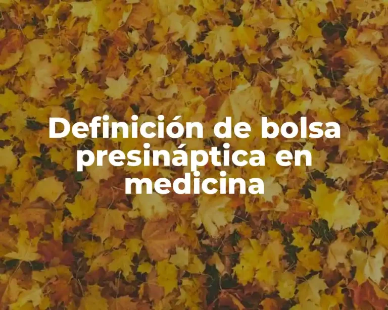 Definición de bolsa presináptica en medicina