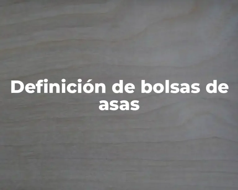 Definición de bolsas de asas