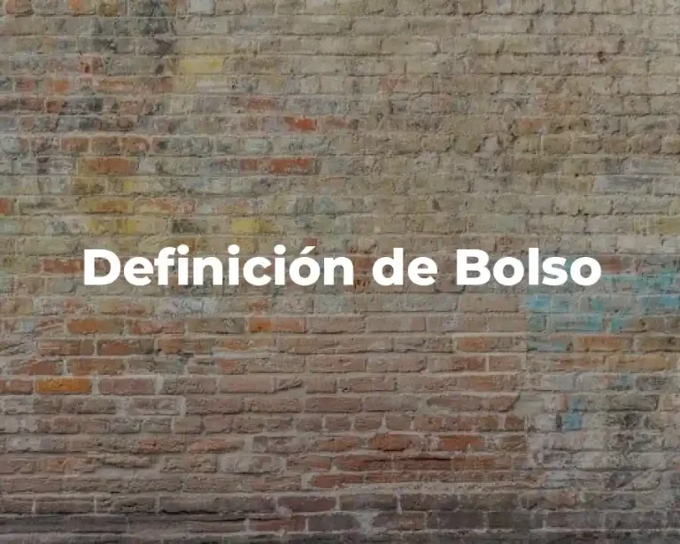 Definición de Bolso