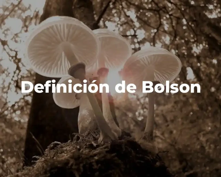 Definición de Bolson