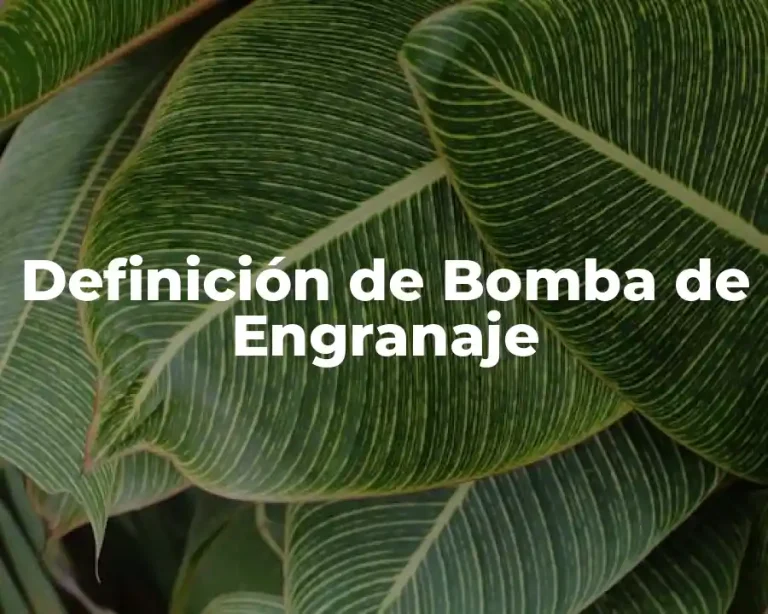 Definición de Bomba de Engranaje