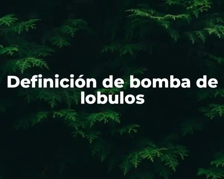Definición de bomba de lobulos