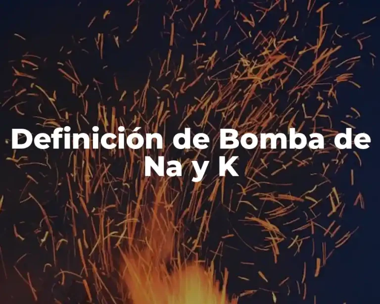 Definición de Bomba de Na y K