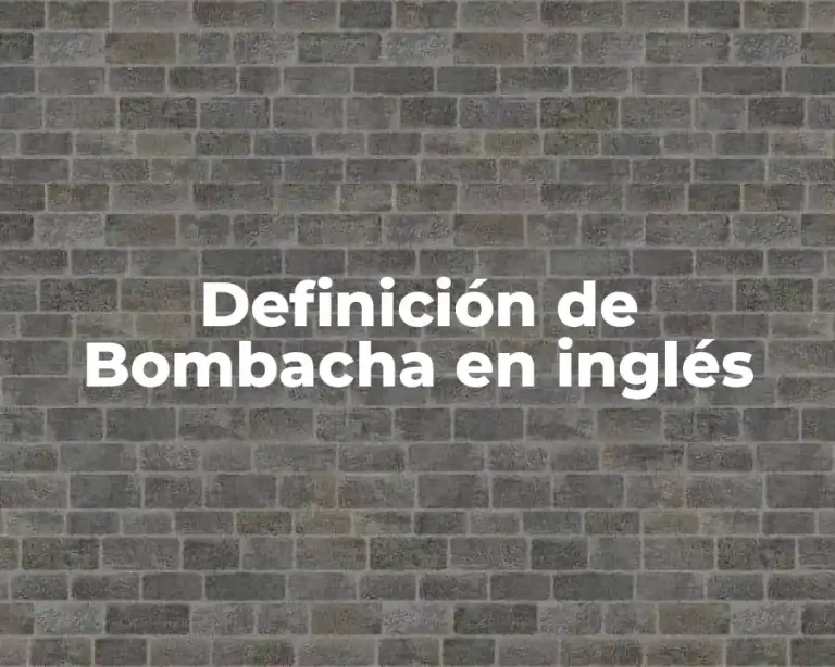 Definición de Bombacha en inglés