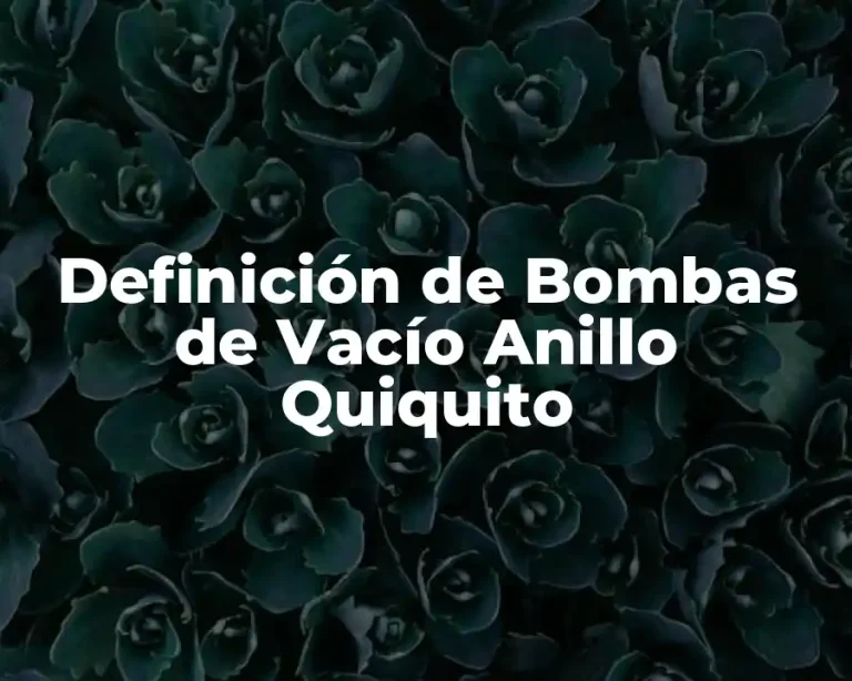 Definición de Bombas de Vacío Anillo Quiquito
