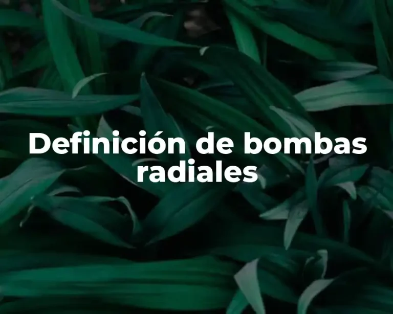 Definición de bombas radiales