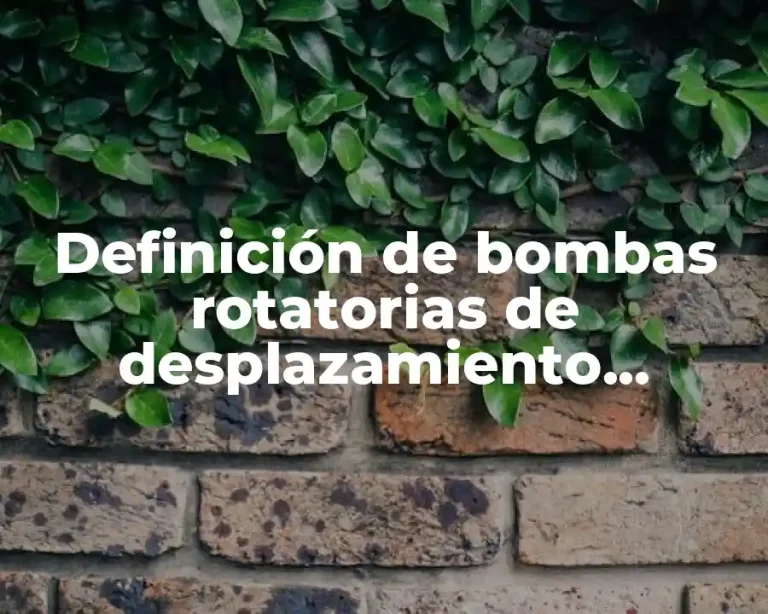 Definición de bombas rotatorias de desplazamiento positivo