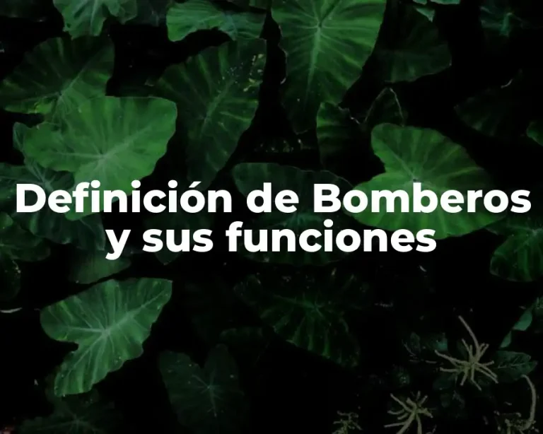 Definición de Bomberos y sus funciones