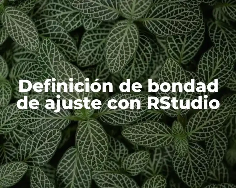 Definición de bondad de ajuste con RStudio