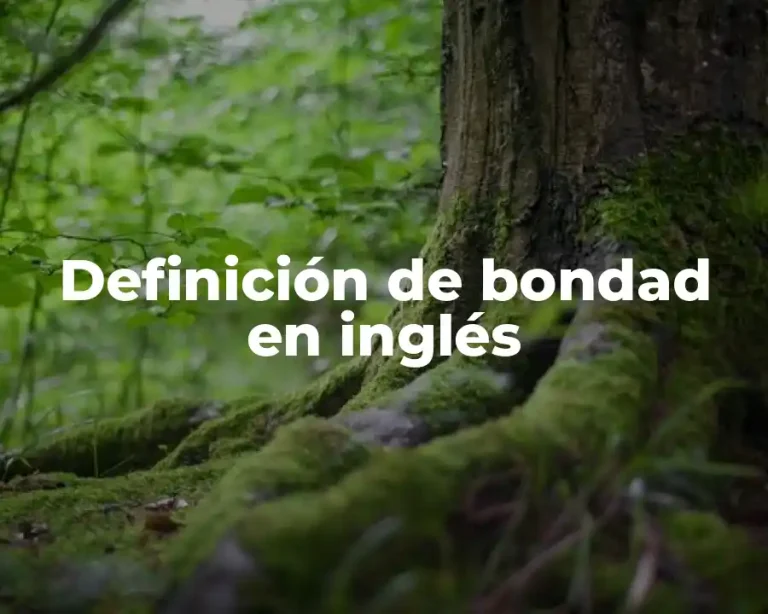Definición de bondad en inglés